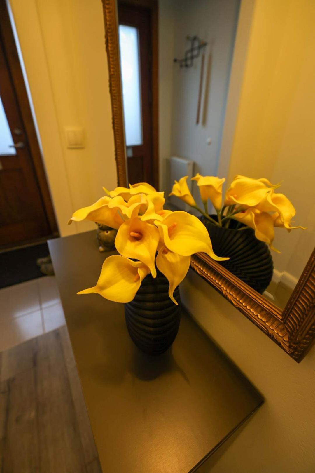 Olga Apartments Grundarfjördur Chambre photo